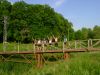 DSC03284.jpg