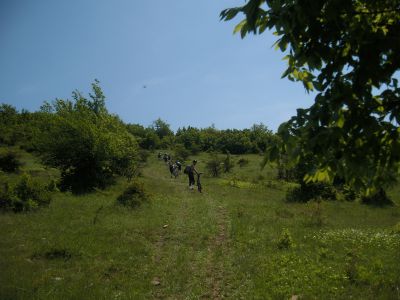 DSCI2855.jpg