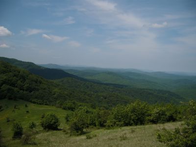 DSCI2856.jpg