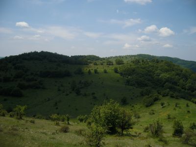 DSCI2857.jpg