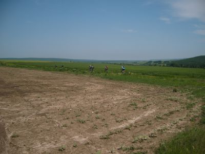 DSCI2879.jpg