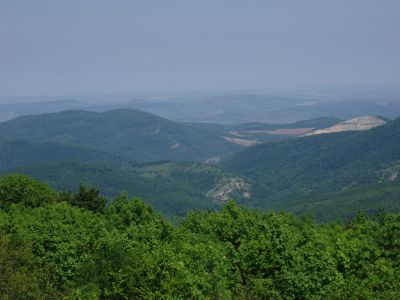 P1010175.jpg