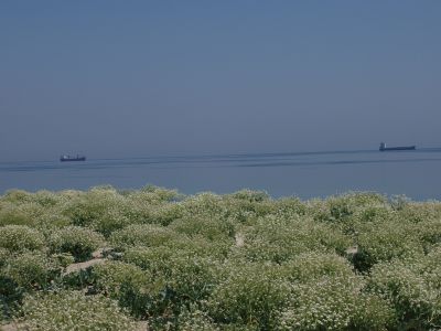 P1010014.jpg