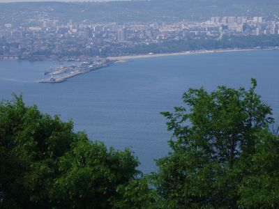 P1010059.jpg