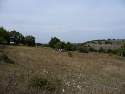 P1050933.jpg