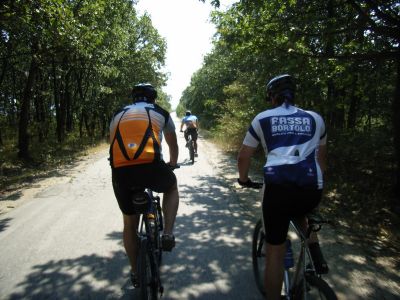 2008.08.23
Варна-Пода-Китка-Добри дол-Здравец-Бенковски-Константиново-Варна
Гил, Иво, Здравко

